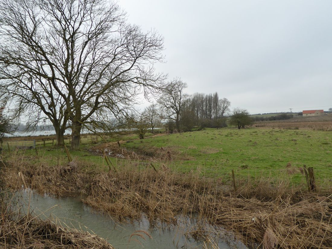 Aldwincle Marsh in winter: a small tributary of Harpers Brook in the foreground with reed beds and rough wet pasture, bare trees, and the gravel-pit lake just visible at left